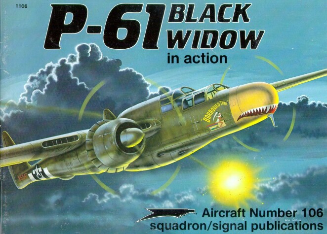 Book cover for P-61 Black Widow in Action