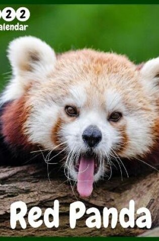 Cover of Red Panda 2022 Wall Calendar