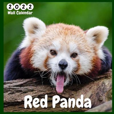 Book cover for Red Panda 2022 Wall Calendar