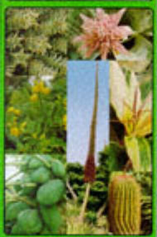 Cover of Plants and Flowers of Gran Canaria