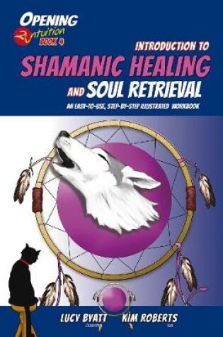 Cover of Introduction to Shamanic Healing and Soul Retrieval