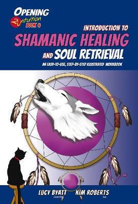 Book cover for Introduction to Shamanic Healing and Soul Retrieval