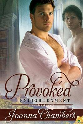 Book cover for Provoked