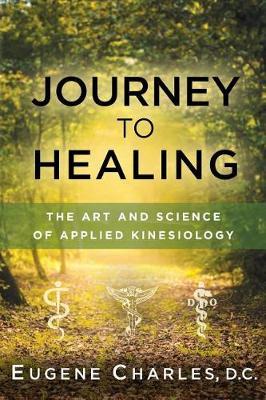 Book cover for Journey to Healing