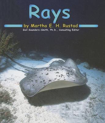 Book cover for Rays