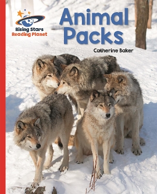 Cover of Reading Planet - Animal Packs - Red A: Galaxy