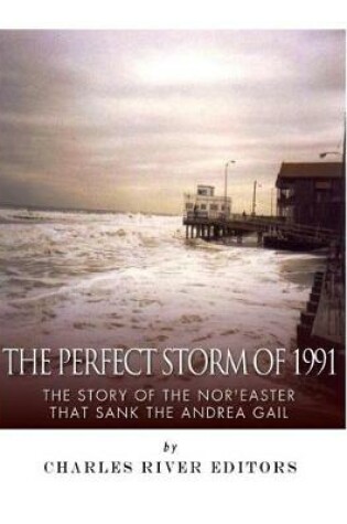 Cover of The Perfect Storm of 1991