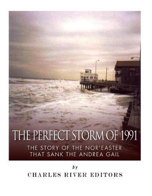 Book cover for The Perfect Storm of 1991