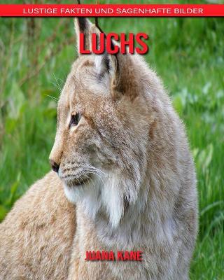 Book cover for Luchs