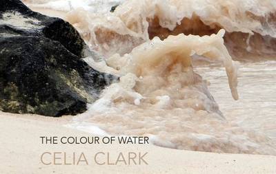 Book cover for The Colour of Water