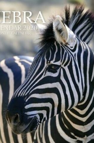 Cover of Zebra Calendar 2020