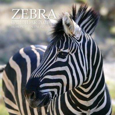 Book cover for Zebra Calendar 2020