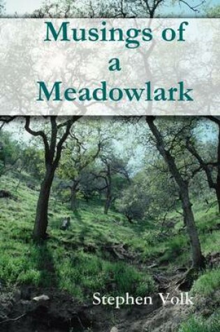 Cover of Musings of a Meadowlark