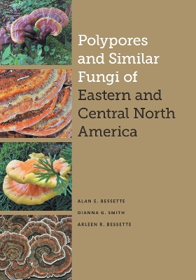 Book cover for Polypores and Similar Fungi of Eastern and Central North America