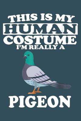 Book cover for This is my human costume i am really a pigeon