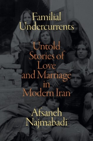 Cover of Familial Undercurrents