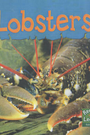 Cover of Read and Learn: Sea Life - Lobsters