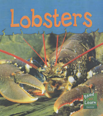 Book cover for Read and Learn: Sea Life - Lobsters
