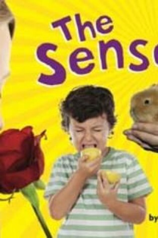 Cover of The Senses 6pk
