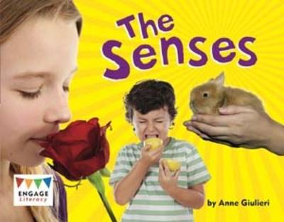 Book cover for The Senses 6pk