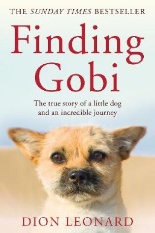 Cover of Finding Gobi (Main edition)