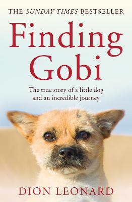 Book cover for Finding Gobi (Main edition)