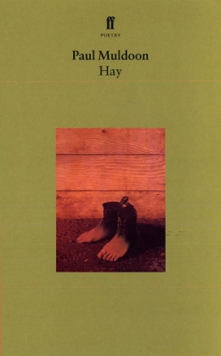 Book cover for Hay