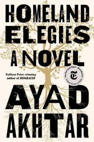 Cover of Homeland Elegies