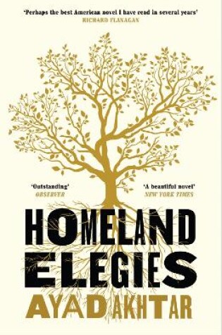 Cover of Homeland Elegies