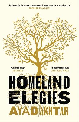 Book cover for Homeland Elegies