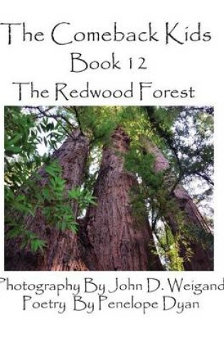 Cover of The Comeback Kids, Book 12, the Redwood Forest