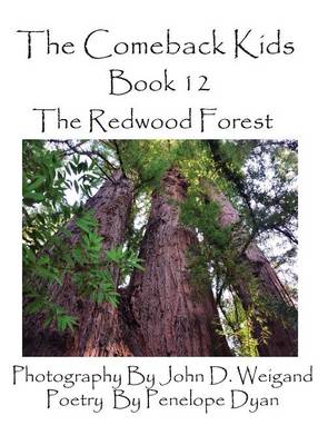 Book cover for The Comeback Kids, Book 12, the Redwood Forest