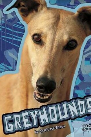 Cover of Greyhounds