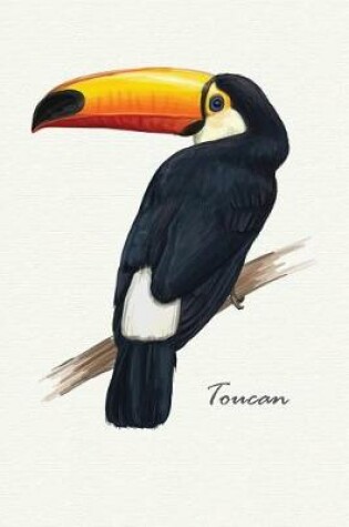 Cover of Toucan