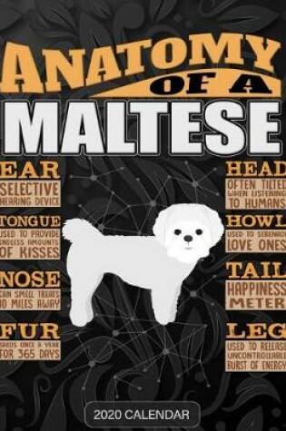 Cover of Anatomy Of A Maltese