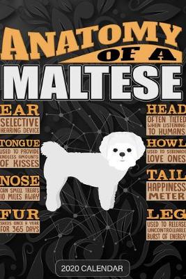 Book cover for Anatomy Of A Maltese