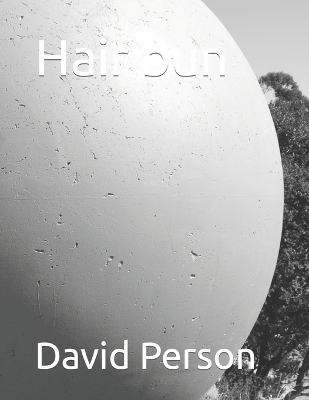 Book cover for Hair bun