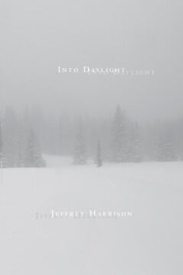 Cover of Into Daylight