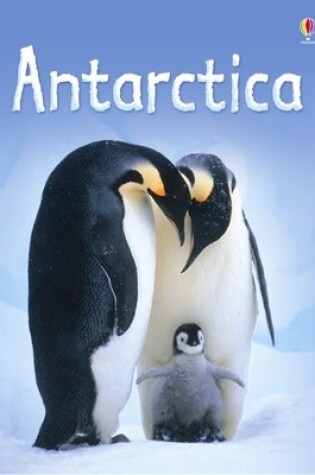 Cover of Antarctica