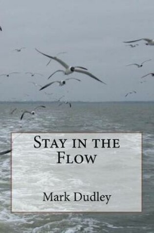 Cover of Stay in the Flow