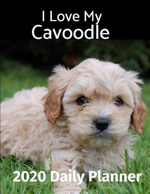 Cover of I Love My Cavoodle