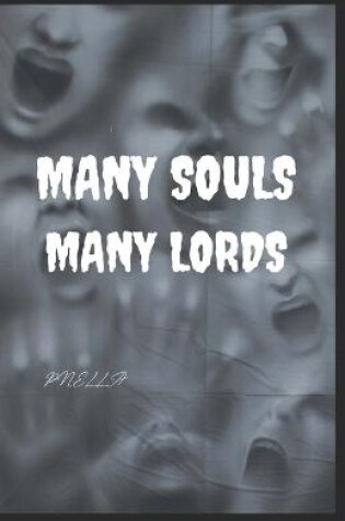 Cover of Many Souls Many Lords