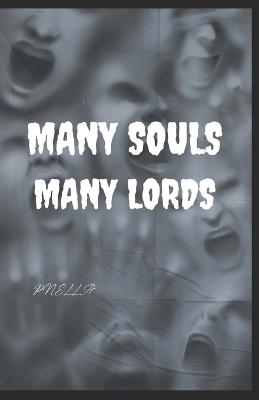 Book cover for Many Souls Many Lords