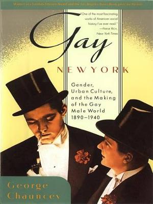 Book cover for Gay New York