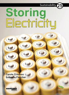 Book cover for Storing Electricity