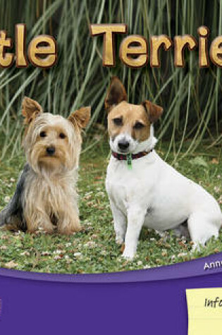 Cover of Little Terriers