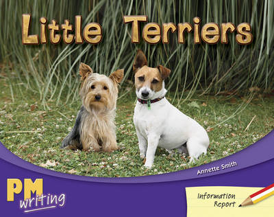 Book cover for Little Terriers