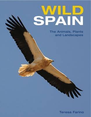 Book cover for Wild Spain