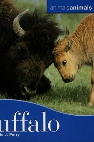 Cover of Buffalo