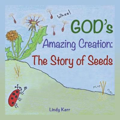 Book cover for God'S Amazing Creation